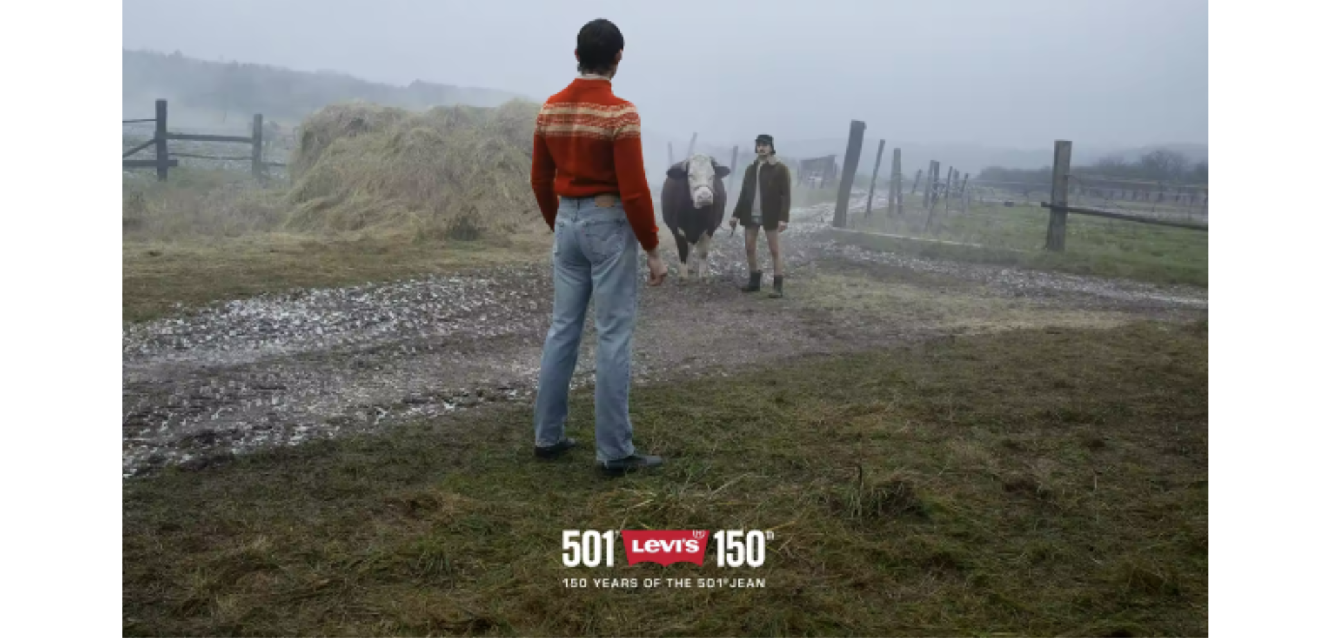 levis